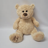 20" Light Brown Bear Body With Embroidery "Mis 15 Anos" - B16832