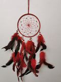 6" D Dreamcatcher (Set Of 6 Asst'd Colors ) DC06739K