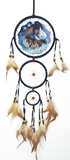 6.5"D DREAMCATCHER (SET OF 6 ASST'D) DC06347K