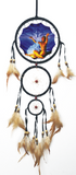 6.5"D DREAMCATCHER (SET OF 6 ASST'D) DC06347K