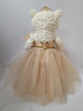 20" Sweet 16 White Bear With Embroidery "Sweet 16" - B16631A-34G Champagne