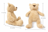 20" Quince Light Brown Bear With Embroidery "Mis 15 Anos" - B16632-5  Lavender