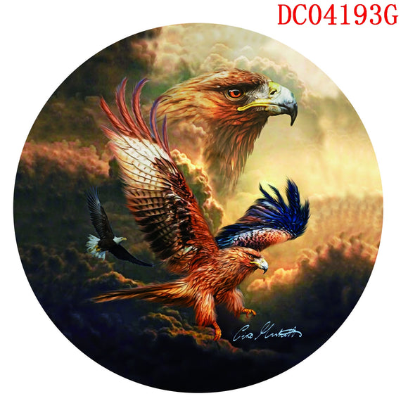 DC04193G 4