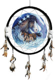 24"D DREAMCATCHER - DC24345V BY JODY BERGSMA